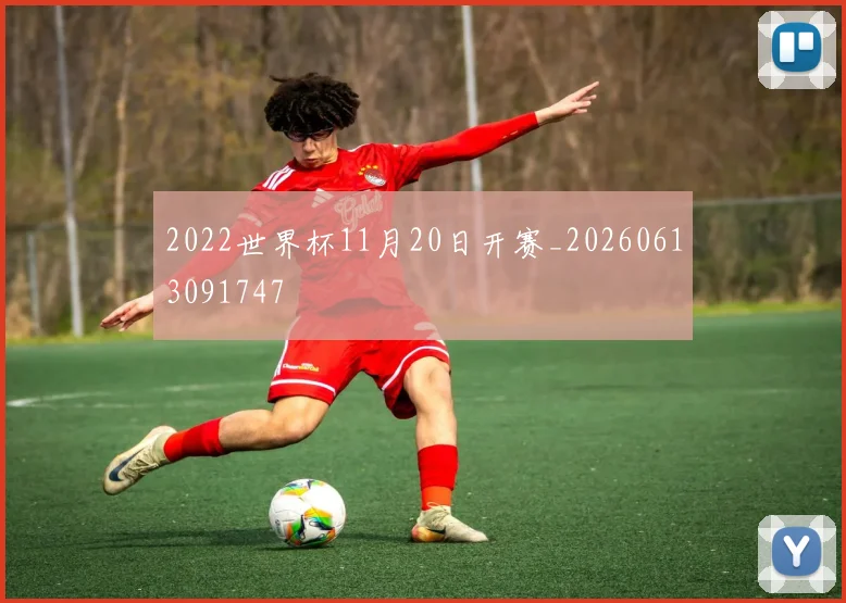 2022世界杯11月20日开赛_20260613091747