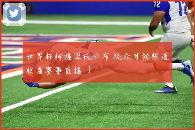 世界杯转播卫视公布 观众可按频道收看赛事直播_1